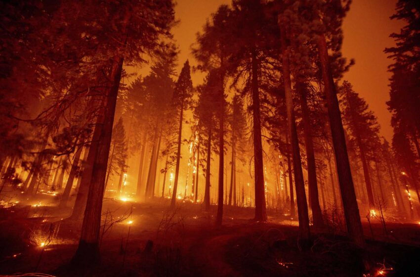  خروج هزاران نفر در کالیفرنیا به دلیل نزدیک شدن آتش