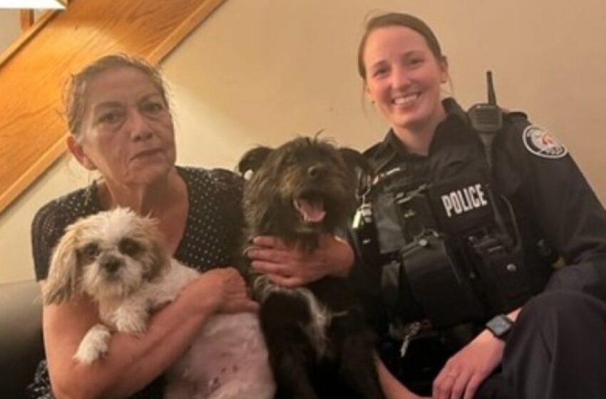  دستگیری زنی در تورنتو در ارتباط با سرقت دو سگ