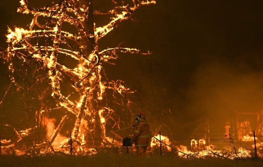  مرگ چند نفر در حادثه آتش سوزی درخت کریسمس