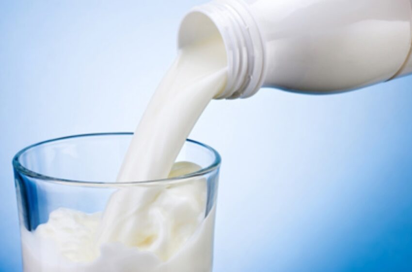  مصرف روزانه شیر و ماست کم‌چرب می‌تواند ریسک ابتلا به دیابت نوع ۲ را کاهش دهد